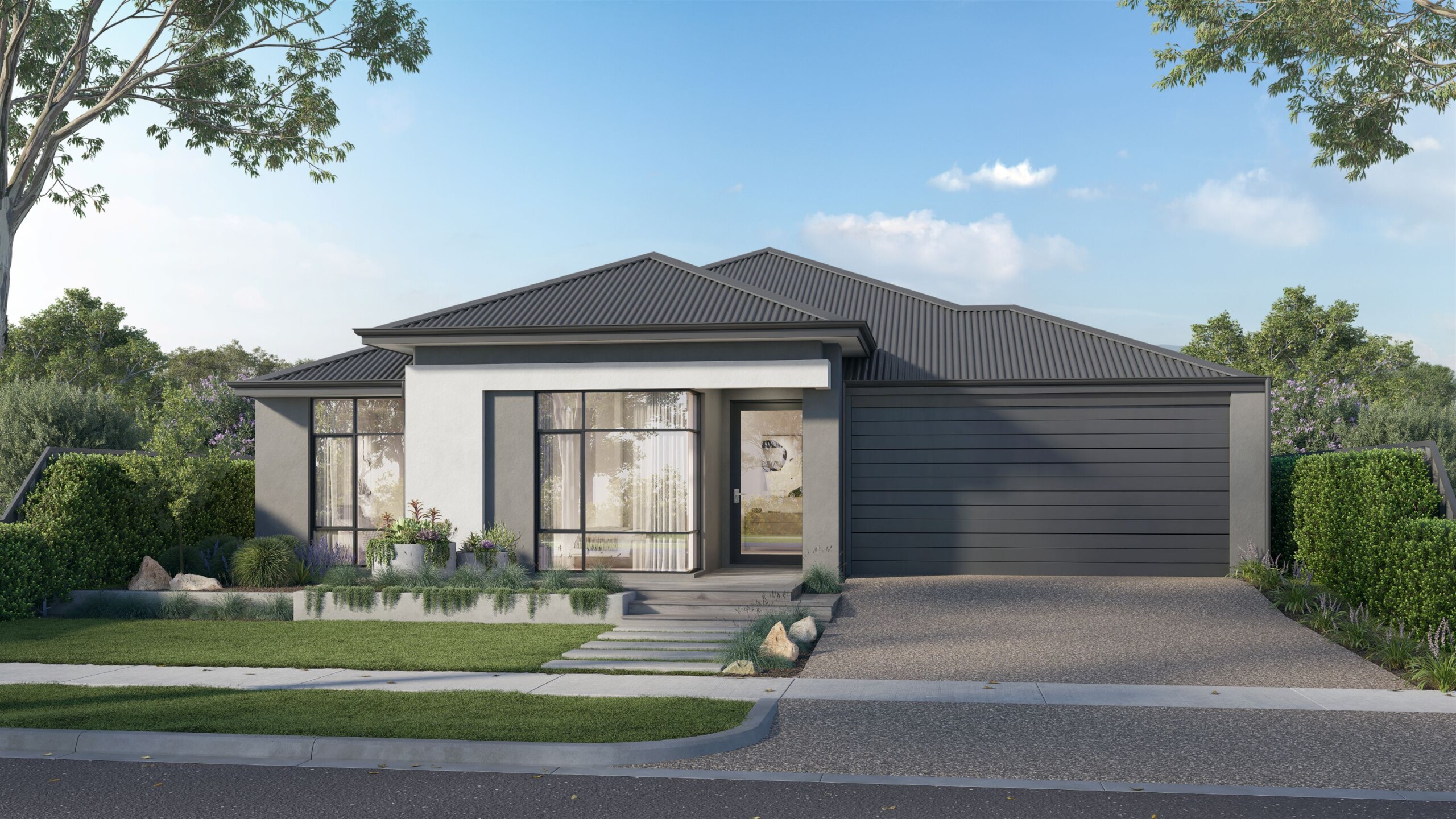 Dryandra 285